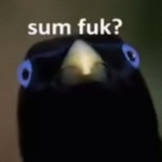 MrDude