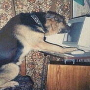 Avatar de PixelOnScreen