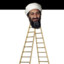 Osama_bin-ladder