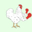 Chickenboxer44
