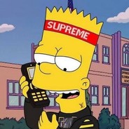 pl0zv2