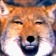 KoT