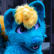 CorentinWolf