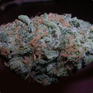 BlueberryHaze