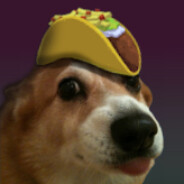 Dog with taco on head
