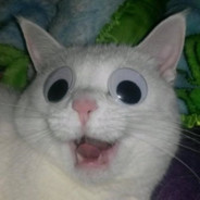 운명이다