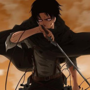 DS_Levi's Avatar