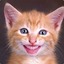 Best Cat Ever