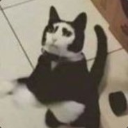 袅笼