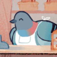 Pigeon