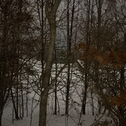 500 Days of Winter