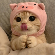 Сержант Чикинсон