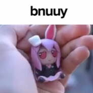 bnuuy