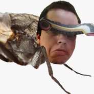 Blosca