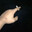 Group Avatar