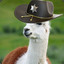 Sheriff Llama