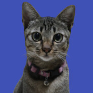 Suryo Pambudi 's avatar