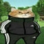 Gato adidas