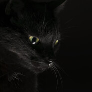 La Leyenda del Single