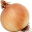 Unleashed_Onion