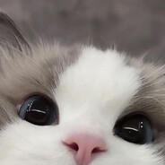 Rosie <3