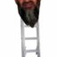 OsamaBeenLadder