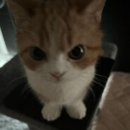 henry