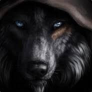SmR - steam id 76561197964579371