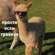 брoдяга трaхадрoм