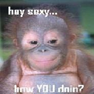 SuperMonkey Ape