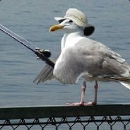 D@ve.66