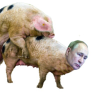 Putin Pig