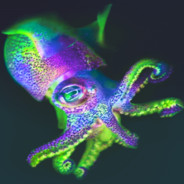 Holographic Cephalopod
