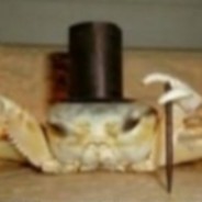 Emperor of Crabs