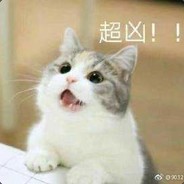 月光の猫咪
