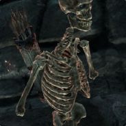 shadowreacon