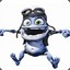 CrAzY_FrOg