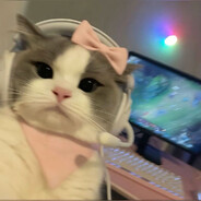 waifu