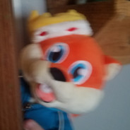 Nintendude