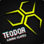 TeoDoR CSGO-skins.com