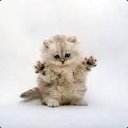 khas - steam id 76561197961418139