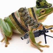 Heavily Armed Frog