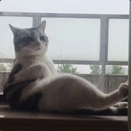 骚猪皮