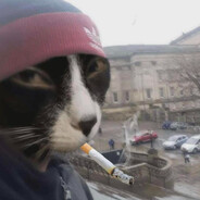 Steam profile avatar of Duv4