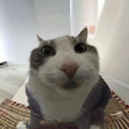 ketaminkatt