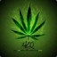 420ိ္္