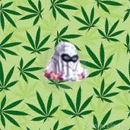 Haxt0n
