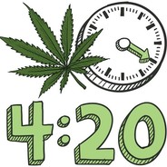 WEED IS DA BEST