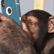 Išskalbtas Ibumetinas