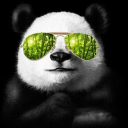 Panda_RoDJeRme